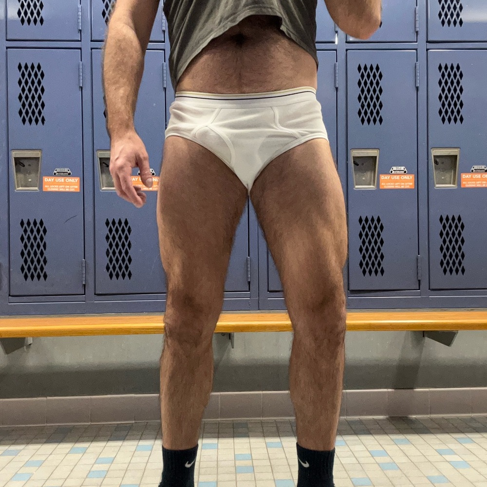 Comfortable y-front Stafford briefs (Medium)